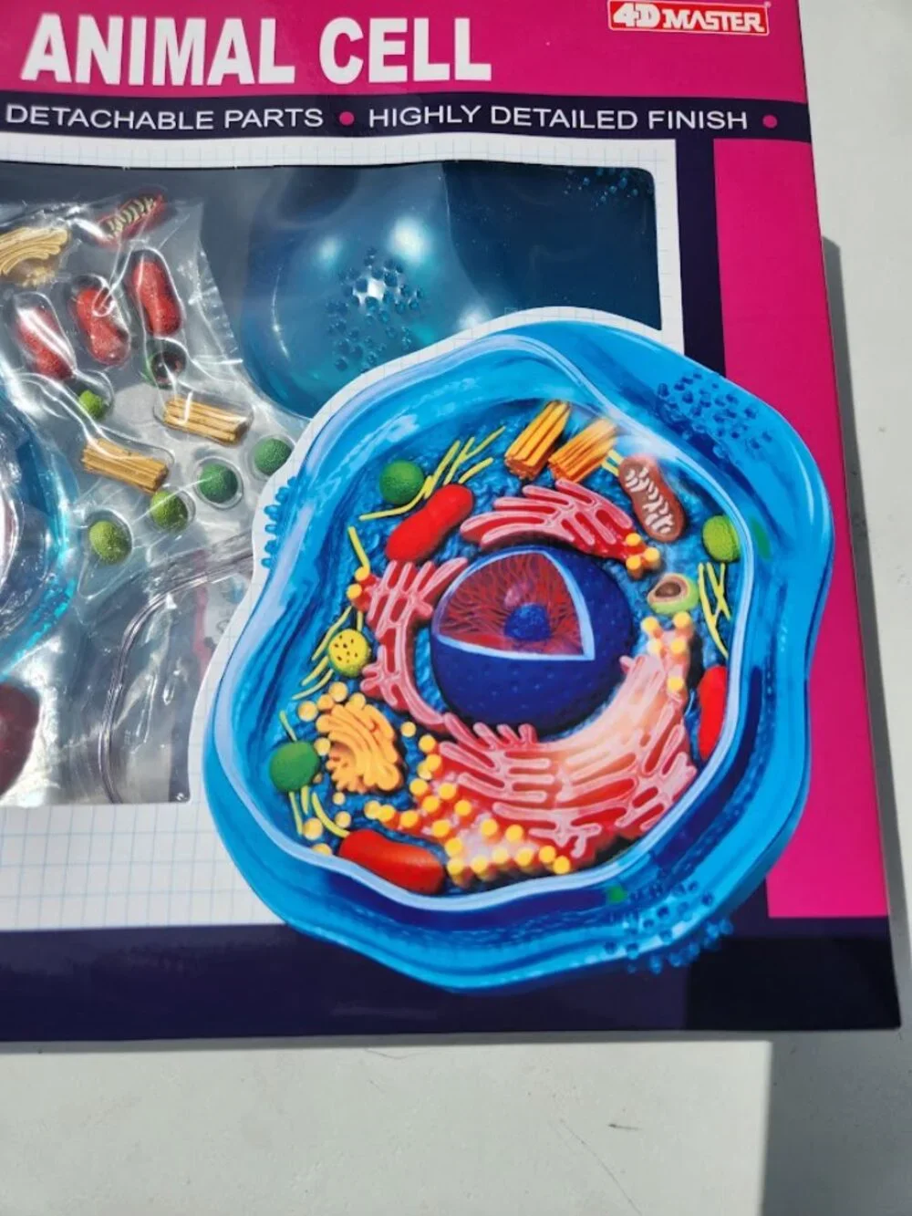 4D Science Animal Cell Anatomy Model High Quality Sculpture Highly Detailed Scho